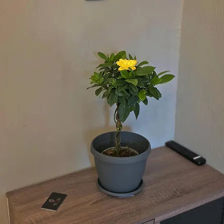 Mura Luxury Loft Διαμέρισμα *